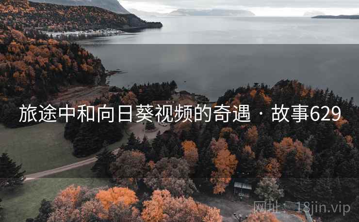 旅途中和向日葵视频的奇遇 · 故事629